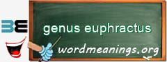 WordMeaning blackboard for genus euphractus
